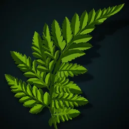 Sprig of mistletoe